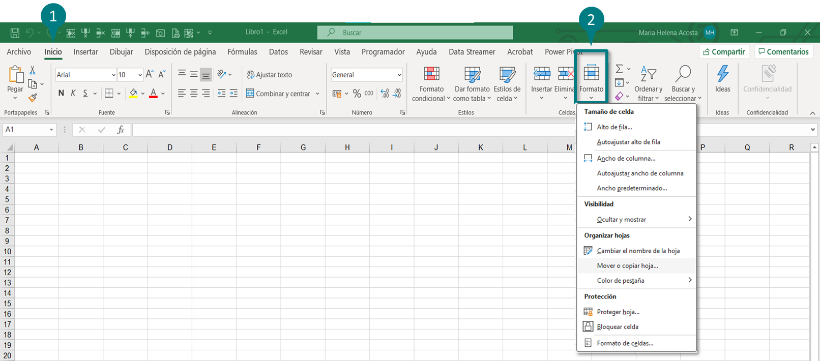 Usar la Cinta de Opciones para duplicar una hoja de excel
