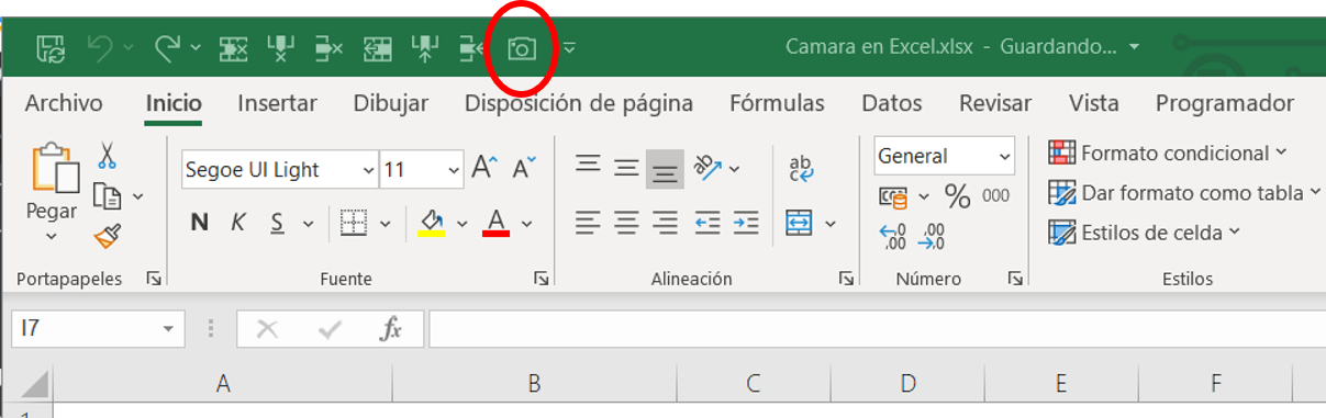 Cámara | Un comando oculto que inserta una imagen dinámica en tu Hoja ...