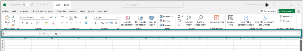 Barra de fórmula de un Libro de Excel