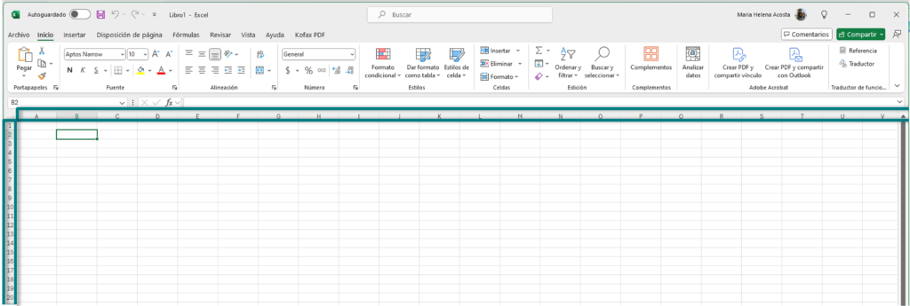 Columnas y Filas en un Libro de Excel