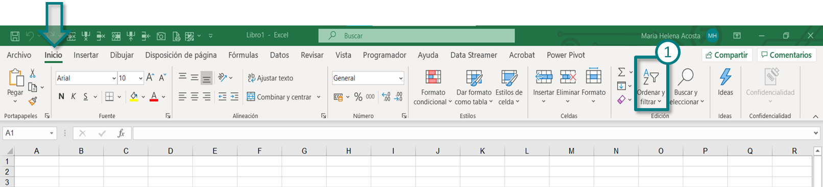 Cómo ordenar datos en Excel